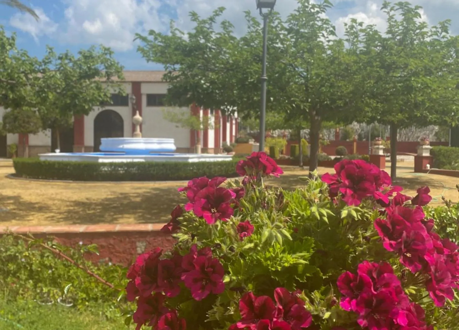 Casa Rural Dehesa Del Colmenar 卡夫拉 0*,